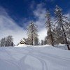 © http://www.rossbergoberwil.ch