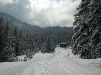 ©www.skilifte-rueschegg.ch