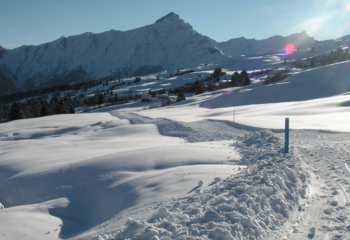 ©http://www.sarn-heinzenberg.ch