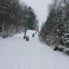 © www.albuch-skilift.de