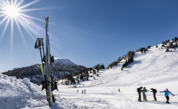 Schönfeld Lifte