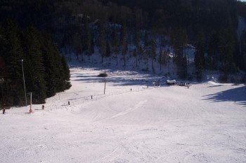 © www.schwarzenbach-wald.de