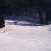 © www.schwarzenbach-wald.de