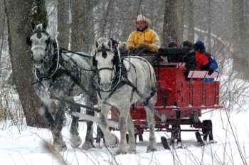 © www.7springs.com