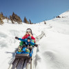 Alpine Coaster "Alpbachtaler Lauser-Sauser"