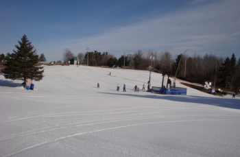 ©www.martock.com