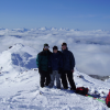 ©www.martock.com