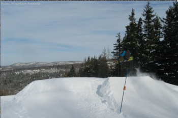 ©www.martock.com