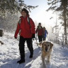 Entdecke den Hochschwarzwald auf einem der beschilderten Winterwanderwege!