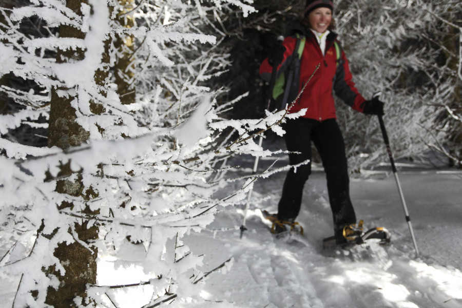 Die Schneeschuhwanderung "Rothaus" ist beschildert und führt bis zum Schluchsee.