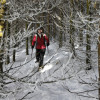Bei Schneeschuhwanderungen kommt man der Natur besonders nah.