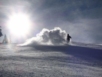 © Snowbird Ski & Summer Resort