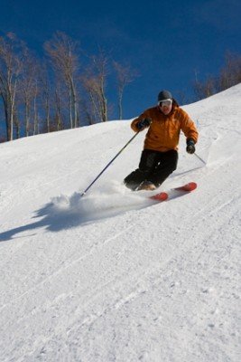 © www.snowshoemtn.com