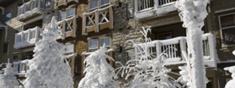 © www.snowshoemtn.com