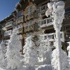 © www.snowshoemtn.com