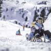 Ein Highlight für Groß und Klein: die zwei Rodelbahnen.