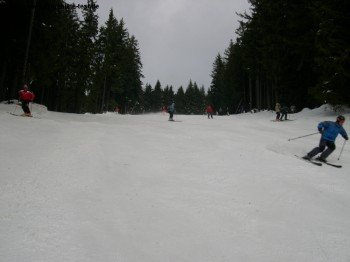 Carven im Böhmerwald!