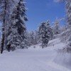 ©www.chandolin.ch