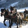 Romantische Pferdekutschfahrten durch St. Martin