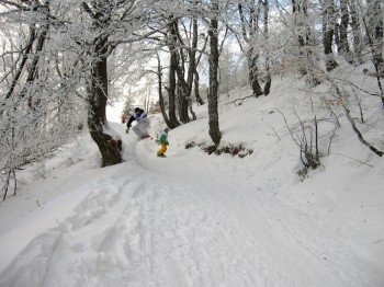 Die Pisten verlaufen auch durch Wälder