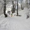 Die Pisten verlaufen auch durch Wälder