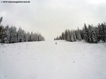 "Buddy’s Run"-Piste!