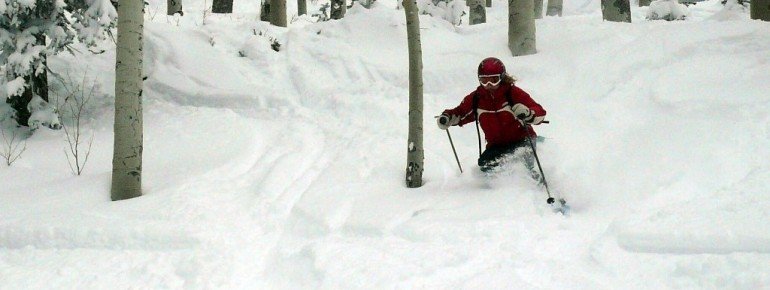 „Tree-Runs“ sind hier sehr beliebt!
