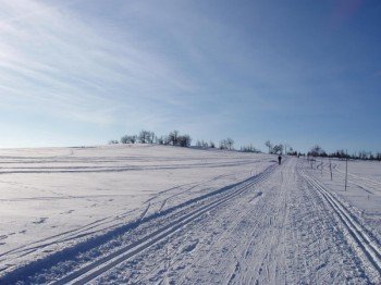 Es gibt mehrere Loipen im Wintersportgebiet.
