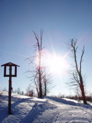 Genieße die verschneite Winterlandschaft.