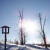 Genieße die verschneite Winterlandschaft.