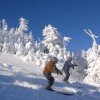 © www.sugarbush.com