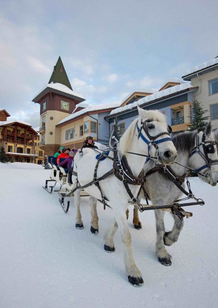 Von Hundeschlittenfahrten bis hin zu einer Fahrt in der Pferdekutsche bietet Sun Peaks einzigartige Erlebnisse für jede Altersgruppe.