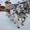 Von Hundeschlittenfahrten bis hin zu einer Fahrt in der Pferdekutsche bietet Sun Peaks einzigartige Erlebnisse für jede Altersgruppe.