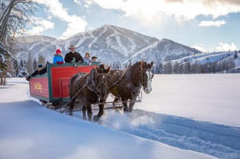 In Sun Valley werden auch Fahrten mit den Pferdeschlitten angeboten.