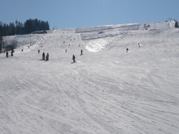 Das Skigebiet eignet sich besonders für Anfänger und Familien