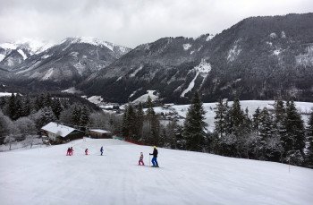 Die blaue Piste schlängelt sich durch den Wald ins Tal.