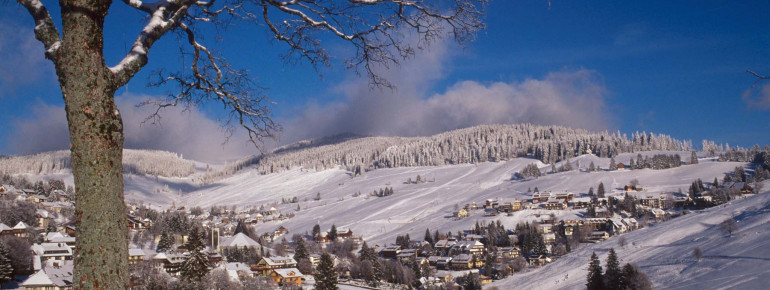 Todtnauberg: Ein nach Süden hin offenes Hochtal auf 1000-1400 Metern.