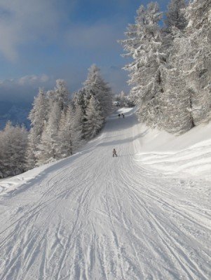 Abfahrten in den verschneiten Wäldern. ©heidadorf.ch
