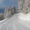Abfahrten in den verschneiten Wäldern. ©heidadorf.ch