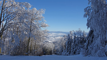 Familienabfahrt mit Ausblick ins Tal