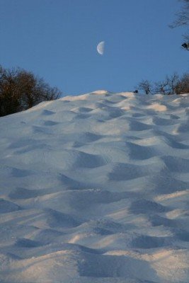 © www.wachusett.com