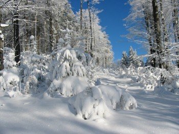 Winterlandschaft am Gibacht