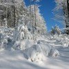 Winterlandschaft am Gibacht