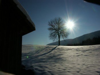 Die Kärntner Winterlandschaft lädt zu ausgedehnten Spaziergängen ein.