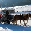 Nach einem schönen Tag auf der Piste lässt sich die Winterlandschaft bequem auf dem Pferdeschlitten erkunden.