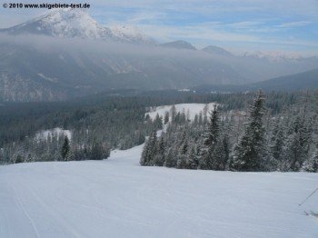 Weißlähn mit Blick zur Gamsalm