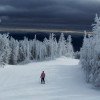 Pisten für alle Könnerstufen führen durch die Winterlandschaft.