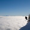 © www.skiwhitefish.com