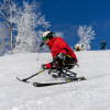 Das Whitetail Resort liegt im Bundesstaat Pennsylvania.