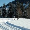Loipenspaß am Tor zum Bregenzer Wald